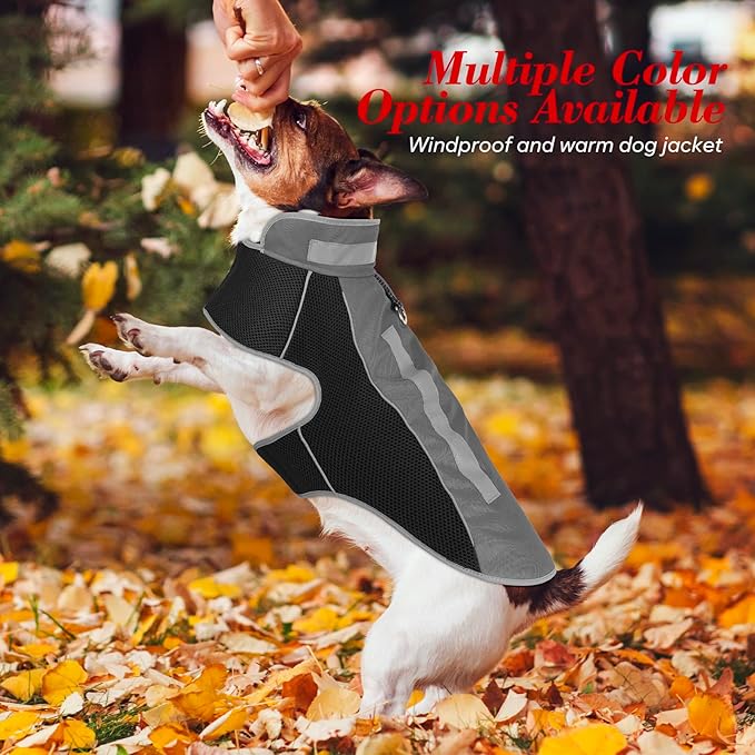 Small Dog Coat, Warm Dog Winter Jacket, Reflective Pet Jacket with Fleece Lined, Pet Clothes for Small Medium Dogs (Gray, M)