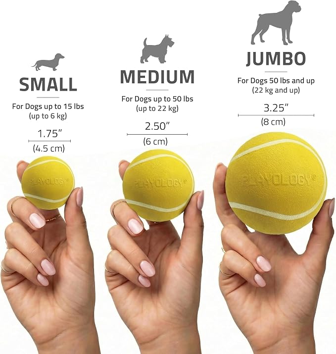 Playology Squeaky Chew Ball Dog Toy - Medium, Chicken Scent