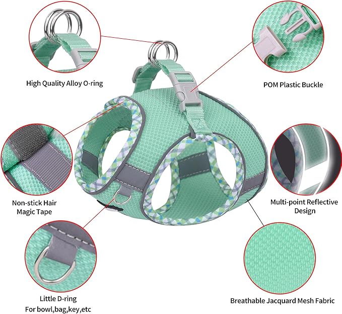 AIITLE Dog Harness and Leash Set - Ultra-Comfortable XXS-XL Vest with Strong Magic Tape & Glow-in-Dark Reflective Strips, Chafe-Free for Teddy, Schnauzer (Turquoise, M)
