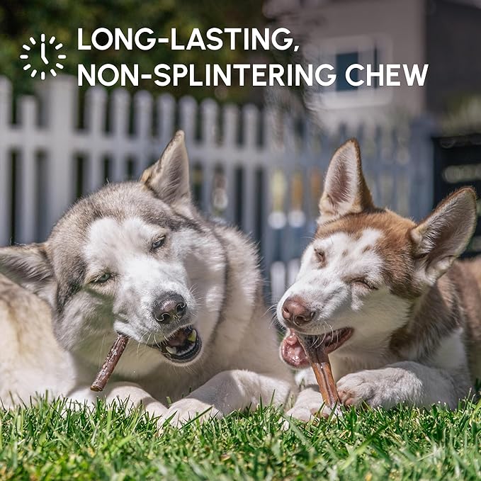 Downtown Pet Supply USA Sourced Bully Sticks for Dogs - Grass-fed Beef Chews, Low-Odor & Rawhide-Free, Long Lasting Dog Treats for Heavy Chewers - Healthy, Safe & Delicious Chews (6" 15 Pack)