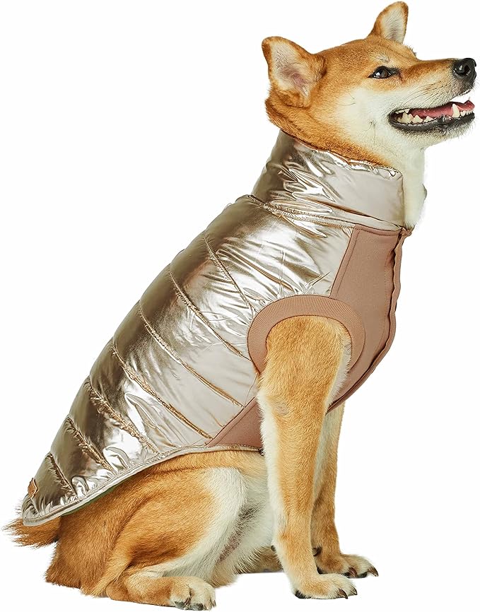 Blueberry Pet Cozy & Comfy Windproof Lightweight Quilted Fall Winter Glossy Dog Puffer Jacket in Gold, Back Length 24", Size 22, Warm Coat for Large Dogs