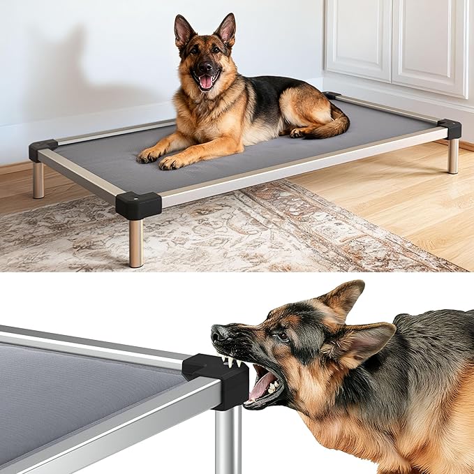 FXW TitanNest Chew-Proof Elevated Dog Bed, Raised Cot for Indoor/Outdoor/Camping Use, Durable & Washable Padded Pet Bed for Large Dogs, 47.0" L x 29.0" W x 7.3" H, Gray