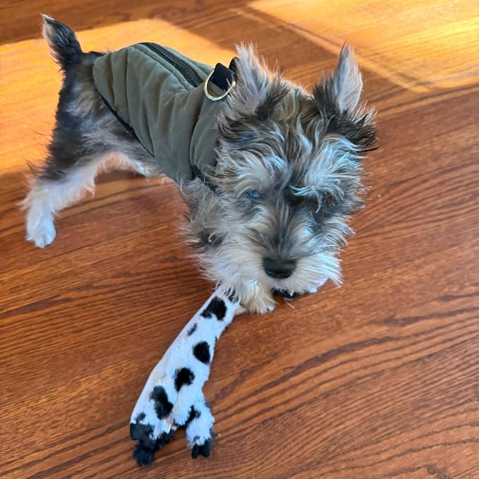 SPOT Skinneeez Crinklers Cow - Stuffing-Free Dog Toy with Crinkle & Squeaker Sounds, Durable for Moderate Chewers, Tug Toy for Small Dogs & Puppies, 14in