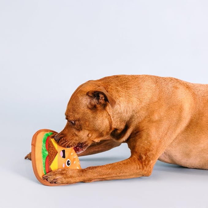 Fringe Studio Plush Dog Toy, Say Cheese!, Durable, Pet Shop Collection (729140)