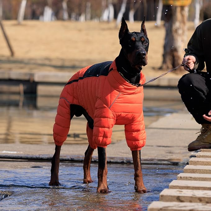 Lovelonglong Warm Jacket - 4 Legs Covered Waterproof Windproof Reflective Vest, Zippered Adjustable Outdoor Snow Jacket for Small Medium Large Dogs, Orange XXL