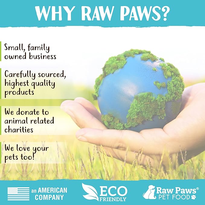 Raw Paws 10-inch Compressed Rawhide Bones for Dogs, 2-Count - Packed in USA - Long Lasting Dog Chews - Natural Pressed Rawhides - Large Dog Bones - Raw Hide for Aggressive Chewers