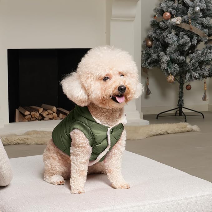 Fleece Lining Extra Warm Dog Hoodie in Winter for Small Dogs Jacket Puppy Coats with Hooded Green M