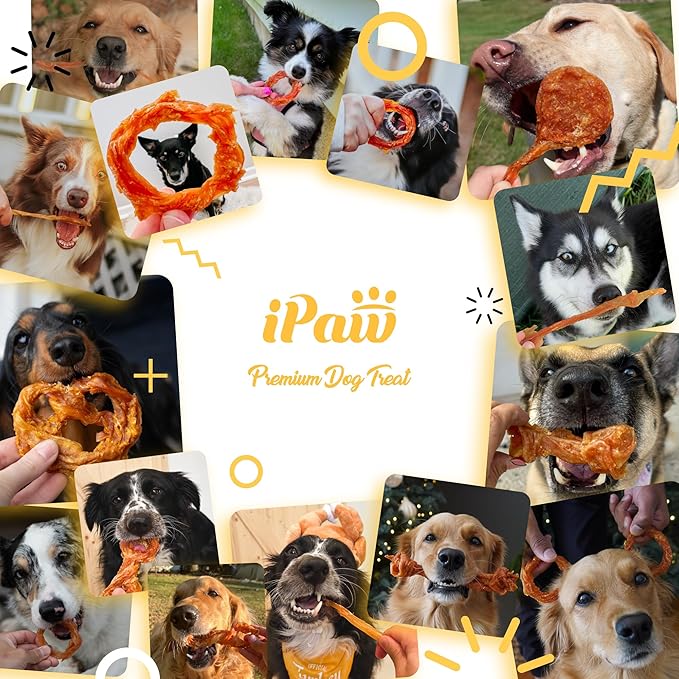 iPaw Turkey Tendon for Dogs 10 Pcs Value Pack, Ingredient Sourced from USA, Hypoallergenic, All Natural Human Grade Puppy Chew, Dog Treats for Signature Series, Rawhide Alternative, Bone (Small)