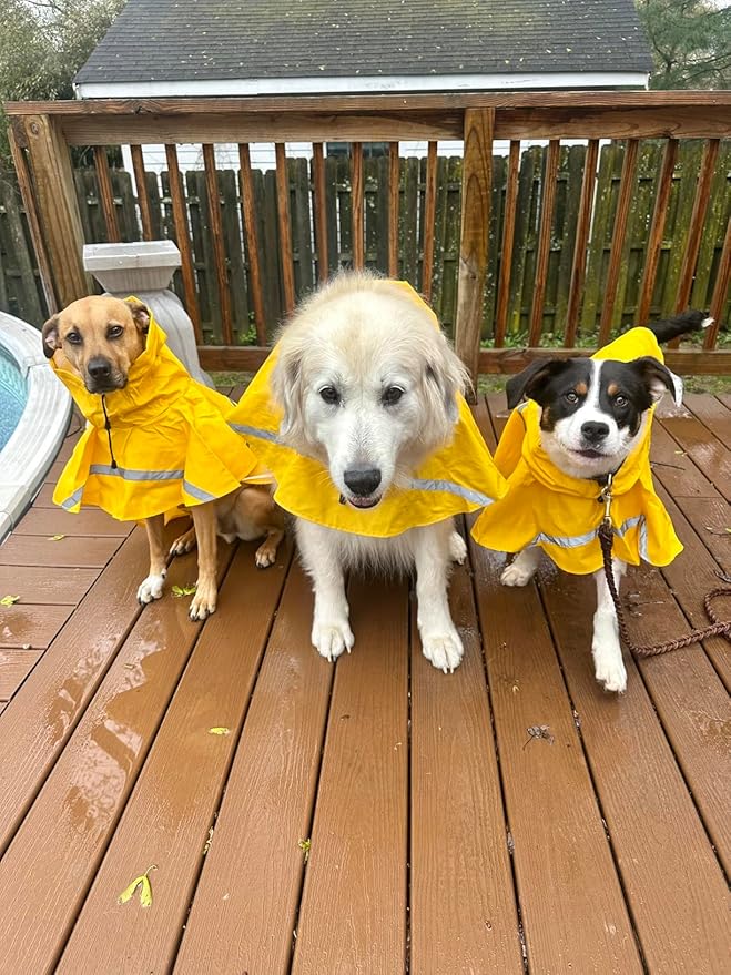 HAPEE Dog Raincoats with Reflective Strip Hoodie,Poncho Jacket for Large Dogs fit Golden Retriever Doodle (A1-Yellow, 16A (20-30 lbs))