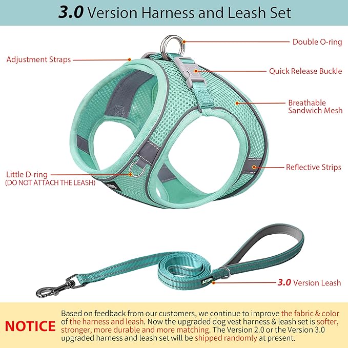 AIITLE No Pull Dog Harness and Leash Set, Step in Adjustable Dog Harness with Padded Vest for All Weather, Dog Leash with Soft Padded Handle, Easy to Put on Small and Medium Dogs Pure Turquoise S