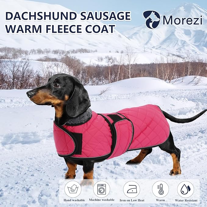 Dachshund Coat Dog Coats for Dachshunds Dachshund Winter Jacket with Padded Fleece Outdoor Dog Clothes with Adjustable Bands - Pink - L