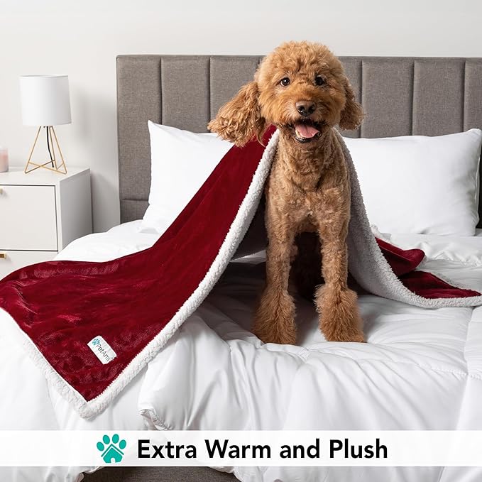 PetAmi Dog Blanket for Medium Large Dogs, Pet Bed Blanket Cat Puppy Kitten, Fleece Furniture Couch Cover Protector Sofa Car, Soft Sherpa Dog Throw Plush Reversible Washable, 40x60 Maroon Red