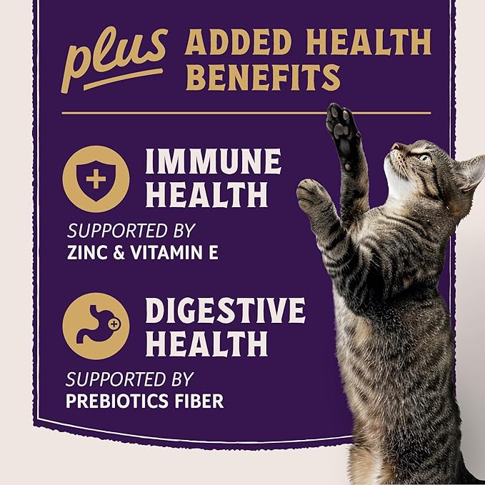Natural Balance Ultra Protein Plus Wet Cat Food, Immune & Digestive Health Real Chicken with Pumpkin Puree Topper with Chicken Liver & Chicken Heart, High Protein Cat Food - 2.4 oz. (Pack of 24)