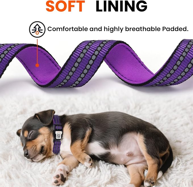 Personalized Dog Collar with QR Code Dog Tag, Purple S | Anti-lost, 1000D nylon, reflective, padded, XS-L(8"-24"), QR buckle shares lost pet profile, location alerts when scanned