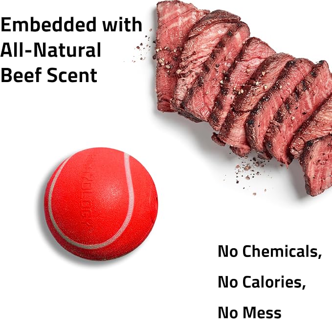 Playology Squeaky Chew Ball Dog Toy - Jumbo, Beef Scent