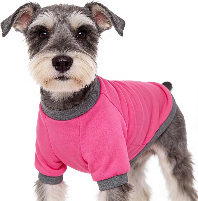 2 Pack Dog Hoodie for Small Dogs, Dog Sweatshirt Soft Warm Pullover Dog Clothes with Ribbed Cuffs for Schnauzer/Poodle/Chihuahua (Yellow+Pink, XX-Large)