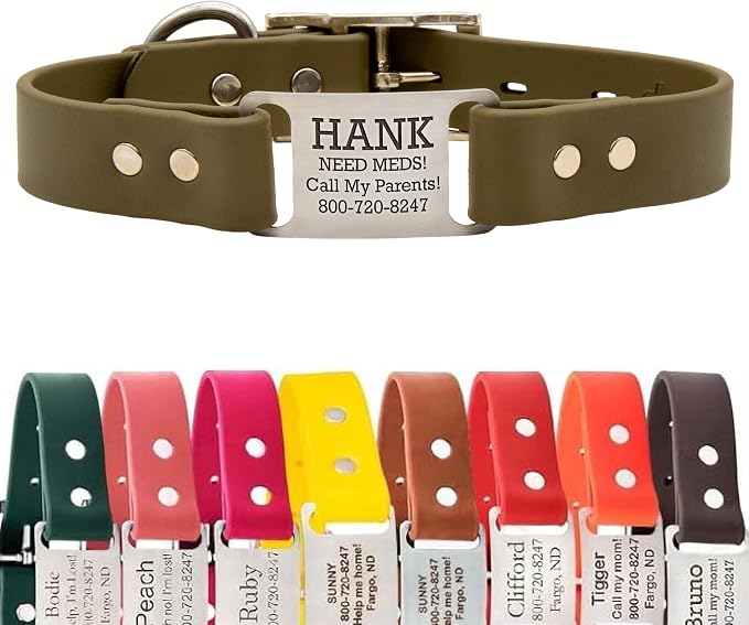 dogIDs Personalized Dog Collar – ScruffTag Custom Waterproof Biothane Dog Collar with Laser-Engraved Name, Durable & Odor-Resistant – USA Made | Sage, 3/4 in x 16 in (Fits Neck Sizes 14-18 in)