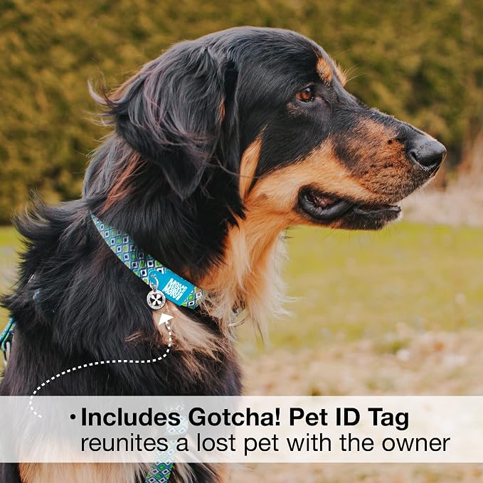 Max & Molly Urban Pets Smart ID Dog Collar - Soft Neoprene, Waterproof, Machine Washable, Power Buckle, Gotcha! QR Tag & Custom App Profile, Retro Blue S