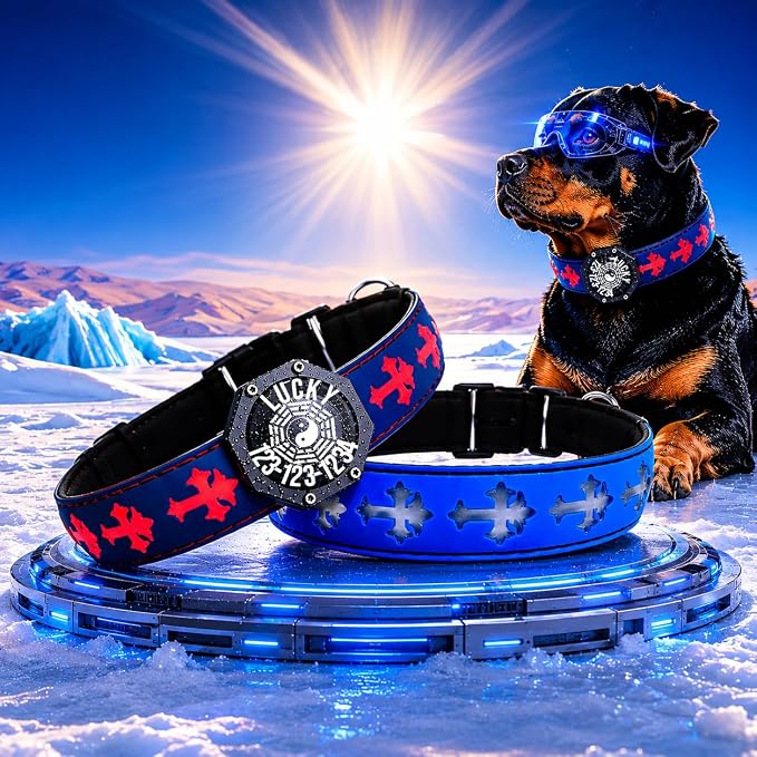 Light Up Glow Dog Collar with Chinese Style AirTag Holder