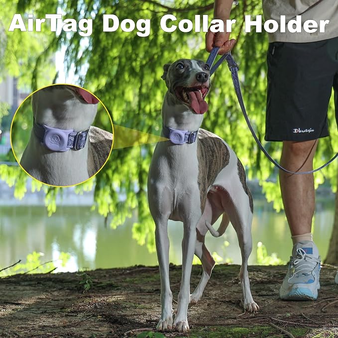 AirTag Dog Collar, Reflective Nylon, Metal Buckle, IP68, Dog Collar with AirTag Holder, Heavy Duty Dog Collars for Large Medium Small Dogs (Lavender Purple, L：Width 1",Neck 16.1"-25.2")