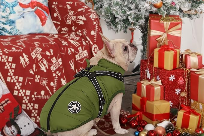 Aiboria Dog Jackets for Winter Windproof Waterproof 2 in 1 Outfit Cold Weather Coat Dog Vest Harness Puppy Winter Warm Jacket Green M