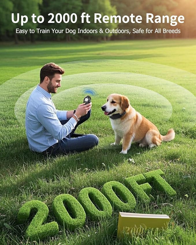 Dog Shock Collar with Remote Control, Waterproof Training Collar, Grey