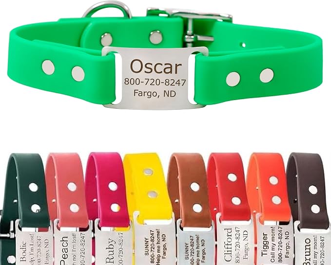 dogIDs Personalized Dog Collar – ScruffTag Custom Waterproof Biothane Dog Collar with Laser-Engraved Name, Durable & Odor-Resistant – USA Made | Bright Green, 1 in x 20 in (Fits Neck Sizes 18-22 in)