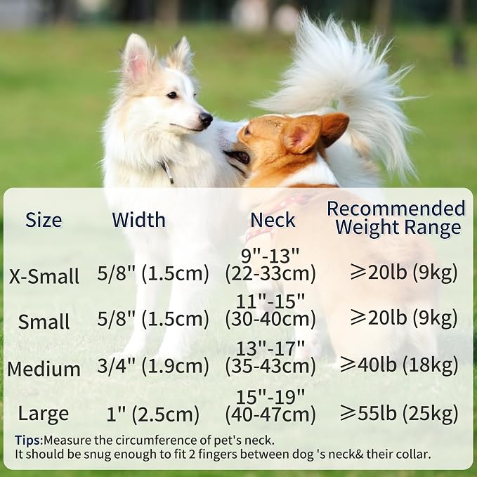 Mile High Life Reflective Dog Collar, Basic Dog Collars Adjustable Quick Release, Soft Nylon Pet Collar with Metal D-Ring for Small Medium Large Dogs (Hot Blue, L Neck15-19")