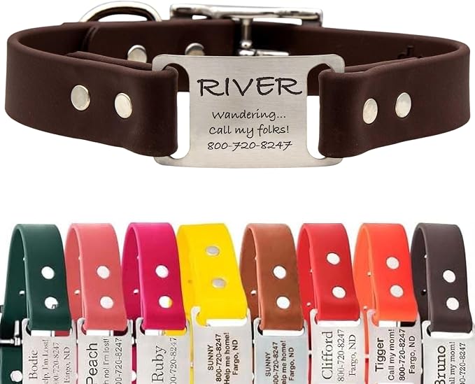 dogIDs Personalized Dog Collar – ScruffTag Custom Waterproof Biothane Dog Collar with Laser-Engraved Name, Durable & Odor-Resistant – USA Made | Brown, 1 in x 16 in (Fits Neck Sizes 14-18 in)