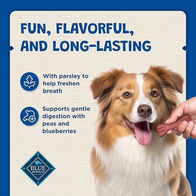 Blue Buffalo Dental Bones Regular Natural Dental Chew Dog Treats Bag, 12oz. Bag