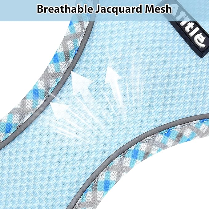 AIITLE Tiny Dog Harness - Lightweight Mesh Step-in Vest for Puppy, Reflective & Escape-Proof Design with High-Stick Magic Tape - Indoor/Outdoor Use for Chihuahua, Maltese, Shih Tzu(Blue, XXXS)