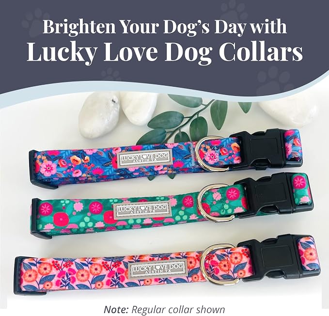 Lucky Love Dog Martingale Collar for Small Dogs No Slip Cute – Rosie, Small
