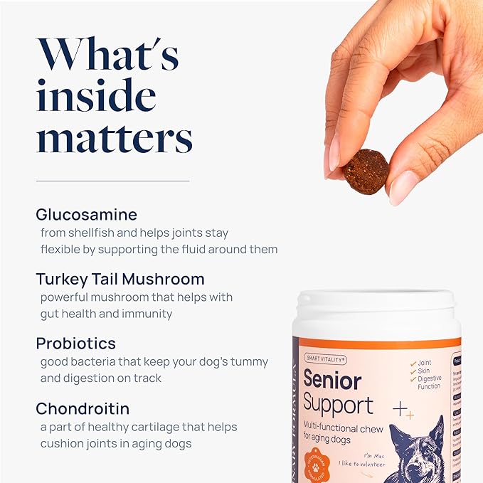 Veterinary Formula Smart Vitality Senior Support Dog Supplements 60ct – Senior Dog Vitamins to Help Promote Mobility, Hip & Joint, Immune Health – Dog Multivitamin with Glucosamine and Chondroitin