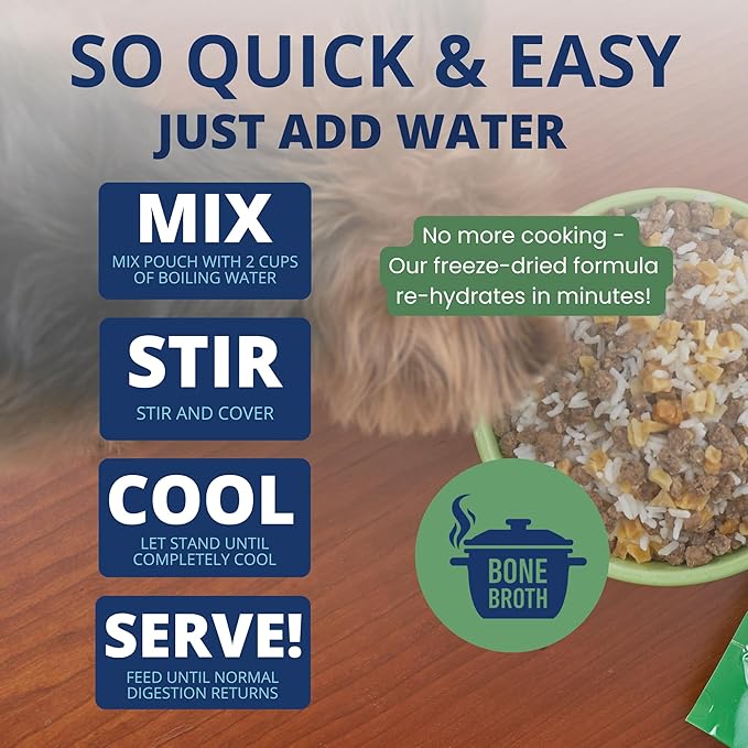 Under the Weather Bland Diet for Dogs | Easy to Digest for Sick Dogs | Always Be Ready | Contains Electrolytes - Natural Freeze Dried 100% Human Grade Meats| 1 Pack- Rice, Hamburger & Bone Broth - 6oz
