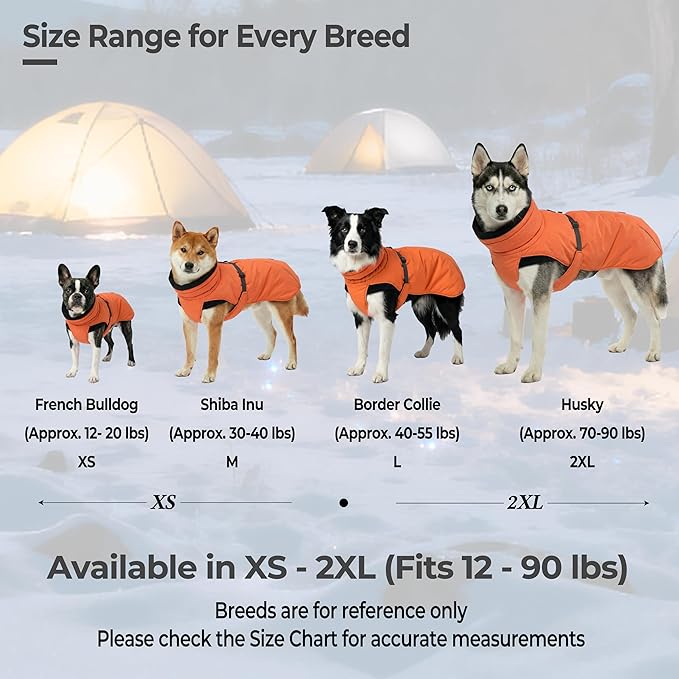 Ultra-Warm Dog Winter Coat for Hiking & Running, Adjustable Puffer Jacket with Anti-Slip Leg Straps, Water-Repellent Shell & Breathable Mesh Lining for Active Dogs (Aurantium, Small)