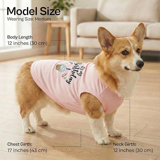 Parisian Pet Dog T-Shirt with Embroidered 'Its My Birthday' - Birthday Girl Shirt - Sleeveless, Lightweight Pet Vest - Pink Dog Clothes for Medium-Sized Dogs M