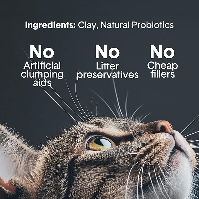Boxie Probiotic Cat Litter, 40 Day Odor Control, Clumping Clay Kitty Litter, Odor Eliminating Probiotics, Dust-Free, No Fragrances No Fillers, 16 lb