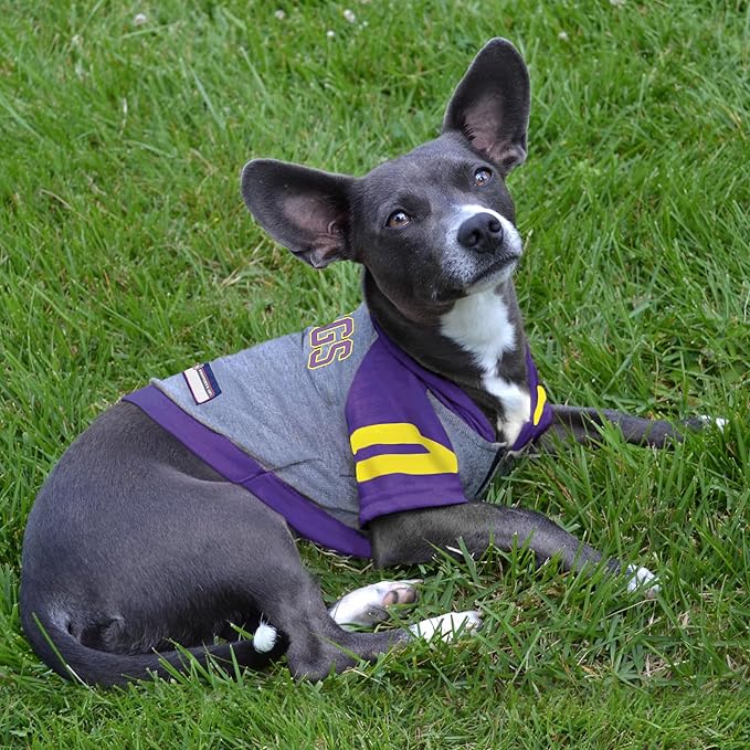 Pets First NFL Minnesota Vikings Hoodie for Dogs & Cats. | NFL Football Licensed Dog Hoody Tee Shirt, X-Small| Sports Hoody T-Shirt for Pets | Licensed Sporty Dog Shirt