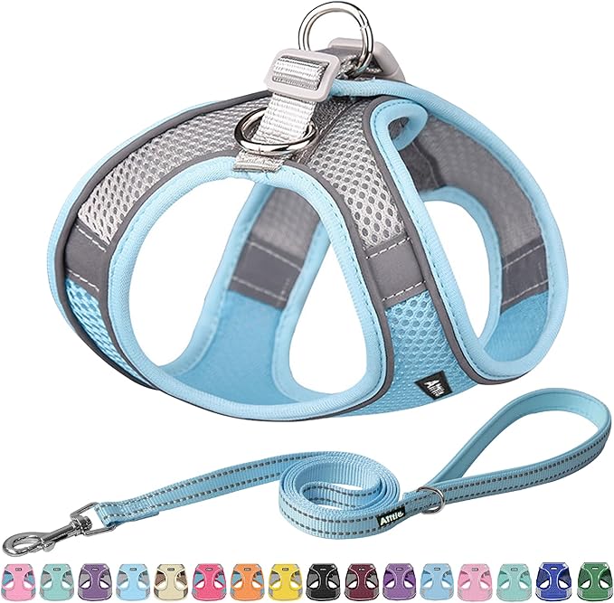 AIITLE Easy Walk Dog Harness and Leash Set - Pet Supply No Pull, Step in Adjustable Dog Harness with Padded Vest for All Weather, Dog Harness No Choke Over, Easy to Put on Medium Dogs Blue L