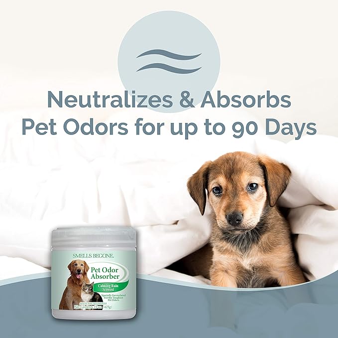 SMELLS BEGONE 15oz Gel Pet Odor Eliminator - Absorb & Remove Strong Odors from Pets, Cat Litter, Dog Poop, Urine Smells - Eliminate Whole Home Odors with Essential Oils (Calming Rain)