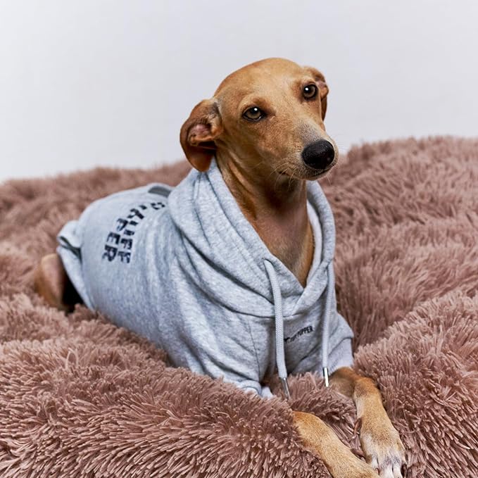 Tuff Pupper Dog Hoodie | Premium Quality Insulated Fabric | Ultra Soft Interior for Superior Comfort | Elastic Cuffs & Drawstring for Warmth | Stretch Fit Suitable for All Breeds (Gray, XXS)
