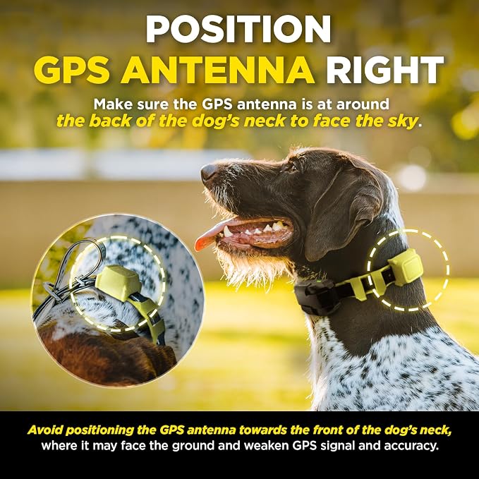 Dogtra GPS Fence – No Subscription, Custom Wireless Dog Fence with App, Smart Guidance & Return Reminder Tone/Vibration/Correction, IPX9K Waterproof Rechargeable Collar, Safe Freedom for Dogs 15 Lbs+