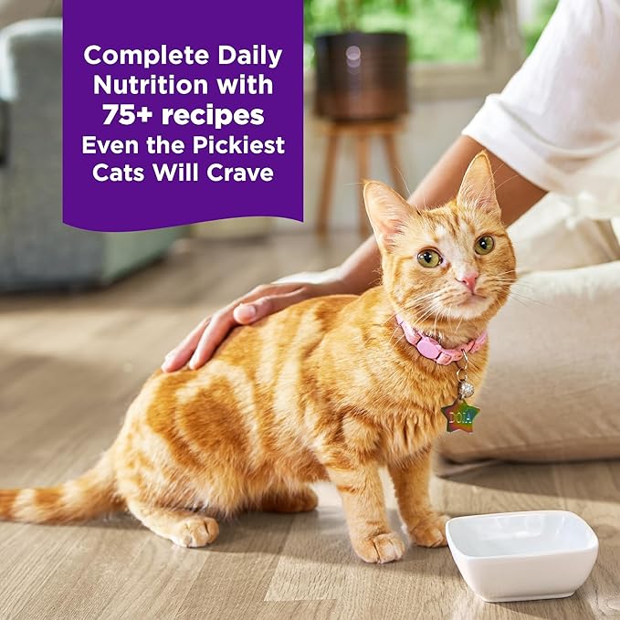 Wellness Complete Health Purrfect Duos, Adult Wet Cat Food, Natural, Protein-Rich, Grain-Free, 2.64 Ounce, 12 Pack, (Pate & Gravy Variety Pack)