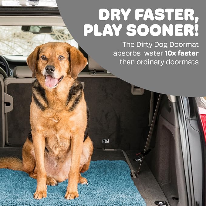 Dog Gone Smart Dirty Dog Doormat - Super Absorbent Polyamide Rug Pulls in Moisture & Dirt - Fast Drying for Clean Floors, Non-Slip, Machine Washable Mat for Muddy Paws - Pacific Blue, 31 x 20 Inches