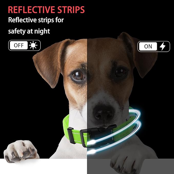 Reflective Dog Collar with Safety Locking Buckle, Adjustable Soft Breathable Nylon Collars for Small, Medium and Large Dogs(Collar+Leash L Green)