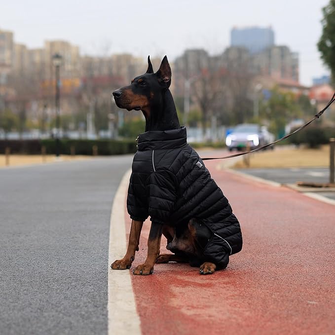 Dog Warm Jacket, 4 Legs Covered Waterproof Windproof Reflective Warm Dog Vest, Zippered Adjustable Snow Jacket for Small to XL Dogs, Black