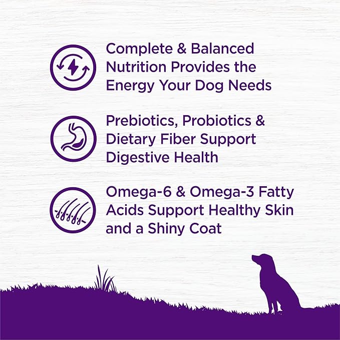 Wellness Natural Pet Food Complete Health Natural Grain Free Dry Dog Food, Chicken, 12-Pound Bag