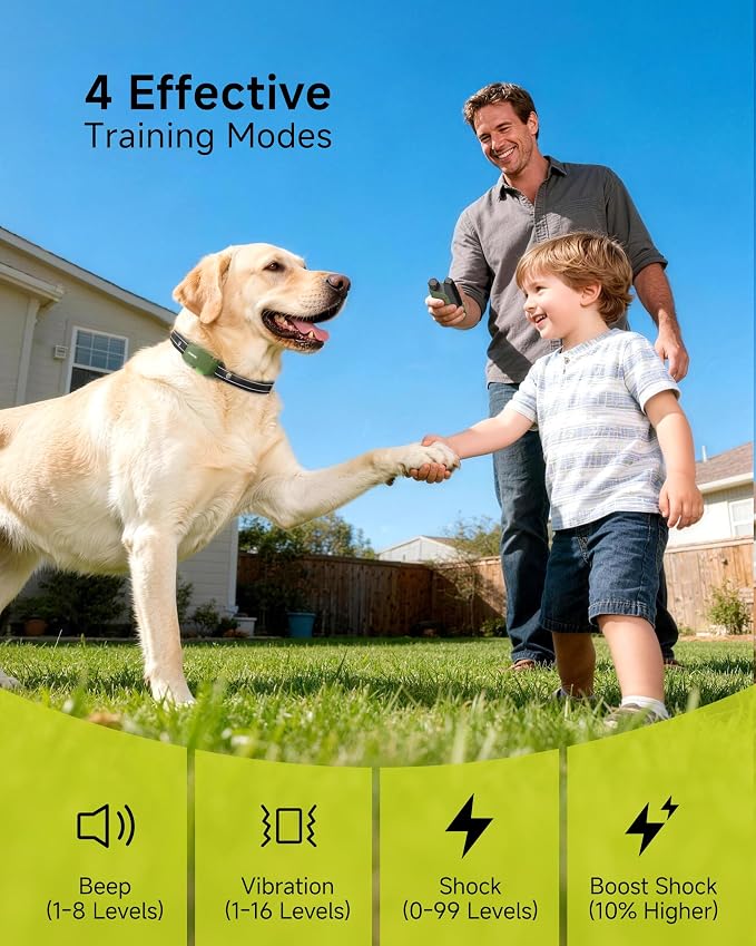Shock Collar for 2 Dogs with Remote, 4200FT Range, Fits 10-120 lbs