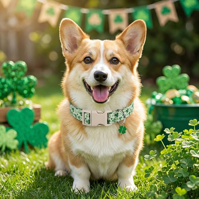 Green Dog Collar, Cute Spring Theme Dog Collar with Green Clover Print for Small Dogs, Small Puppy Collar for Girl Dogs & Boy Dogs, S