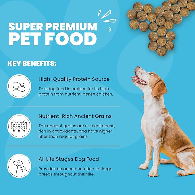 Muenster Ancient Grains Chicken Dry Dog Food, 4lb - Gluten-Free, High Protein, Digestive Support